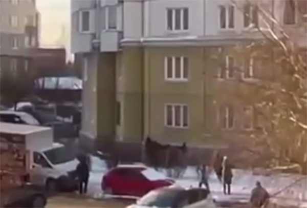 �������� ������ ��������� �� ���� �������� �� 10 ����� �������