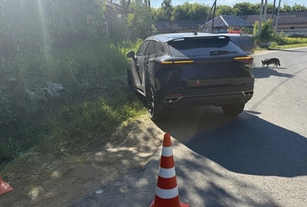 � ��������� ������� ������ ����� ������������� �������