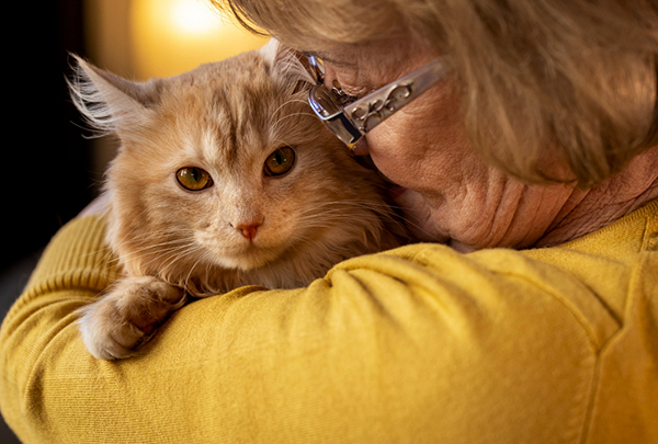 ���������� �� ������� � ��������� �� ��������� ������������� ������� �����������