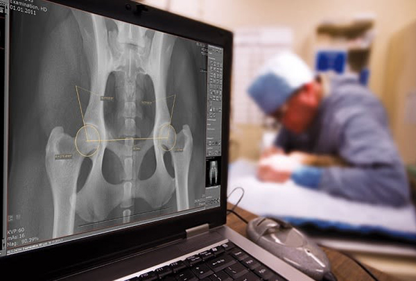 Цифровой мобильный рентген-аппарат с низкой лучевой нагрузкой в Перинатальном центре Рязани