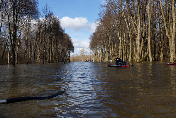 � ��� � ������ ������� ���� ����������, � ����� � ������ ���� ����������