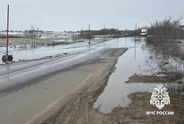 ������ �� ������, ��������� � �������� �������� ���� ���