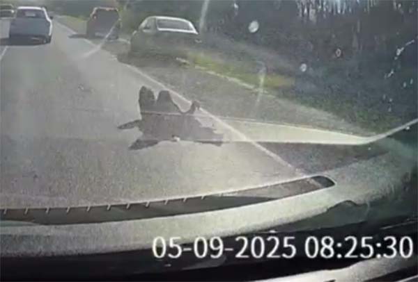 � ������ �� ������ ����� ��������