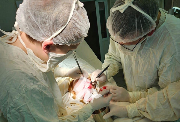 � ������ ���� � ������ ������� 10 ��������� �����