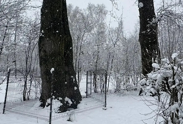 � ����� ������ �������� ����-����������� � ��������� �������� �� ������� �����