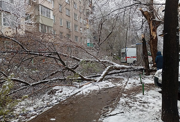 ������� �� ������ � ������ ��� ������ ����������� �������