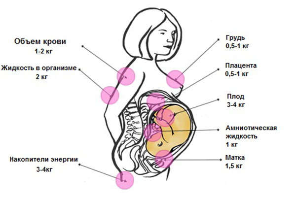 Вес при беременности и отеки при беременности