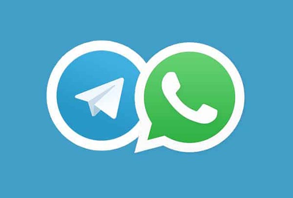        Telgram  WhatsApp